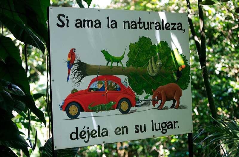 Lapepa2018's tweet photo. #DomingosConMaduro96 es un compromiso de todas las personas que vivimos en este planeta llamado Tierra, pon tu granito de arena y contribuye a su preservación #DomingoDeGanarSeguidores https://t.co/kC5Ijq2uKA