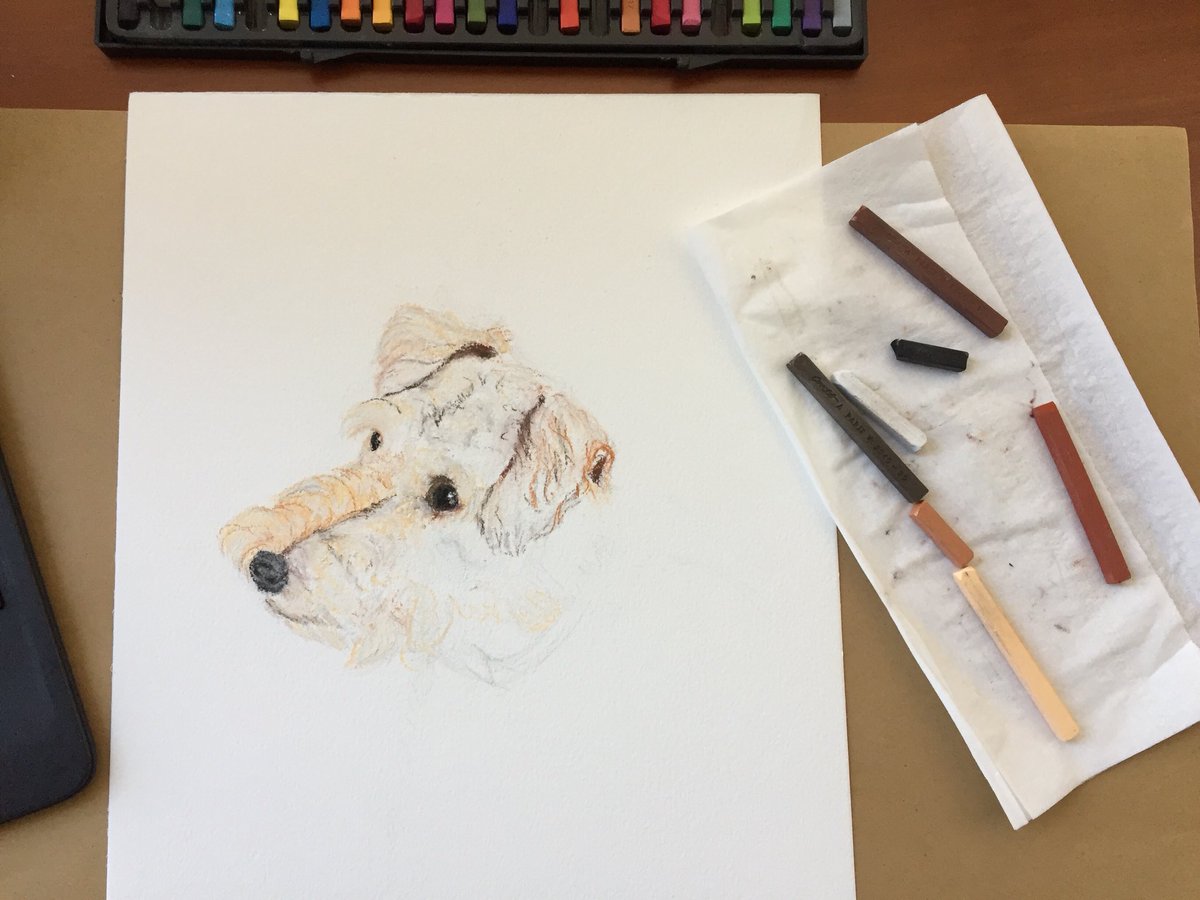 BarbLimStudio's tweet photo. Meet Brontë, my friend’s #welshterrier #puppy #pastel #pet #portrait #mymuse #contéaparis #contecrayons #illustration #painting https://t.co/iEyR67XgJT