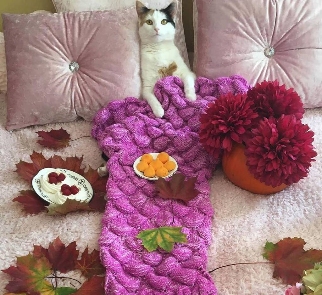KitNipBox's tweet photo. "When you can't control you inner basic fall girl" 🍁🍃🍂🐈💕 #ILiveForFall #KitNipBox [📷: @mimiandbellasworld] https://t.co/B00FWNiB0f https://t.co/LcrHVikrQN