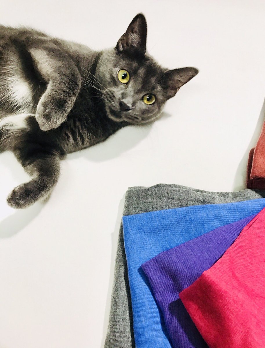 FactoryBrooklyn's tweet photo. #brooklyntfactory #fashion #colors #fashionista #fashionparis #gato #fashionweek #fashioncat #cats #catwoman #catstagram #love #catsofinstagram #catselfie #tshirts #tshirt #blackfriday #marketing #newyork #brooklyn #model #modeling #citylife #catlover #catslife #teamwork #amore https://t.co/kZtwTyTf48