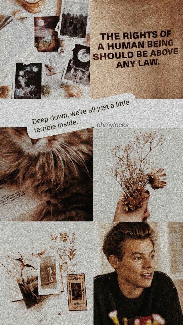 lockscreens | NEW ERA tweet media