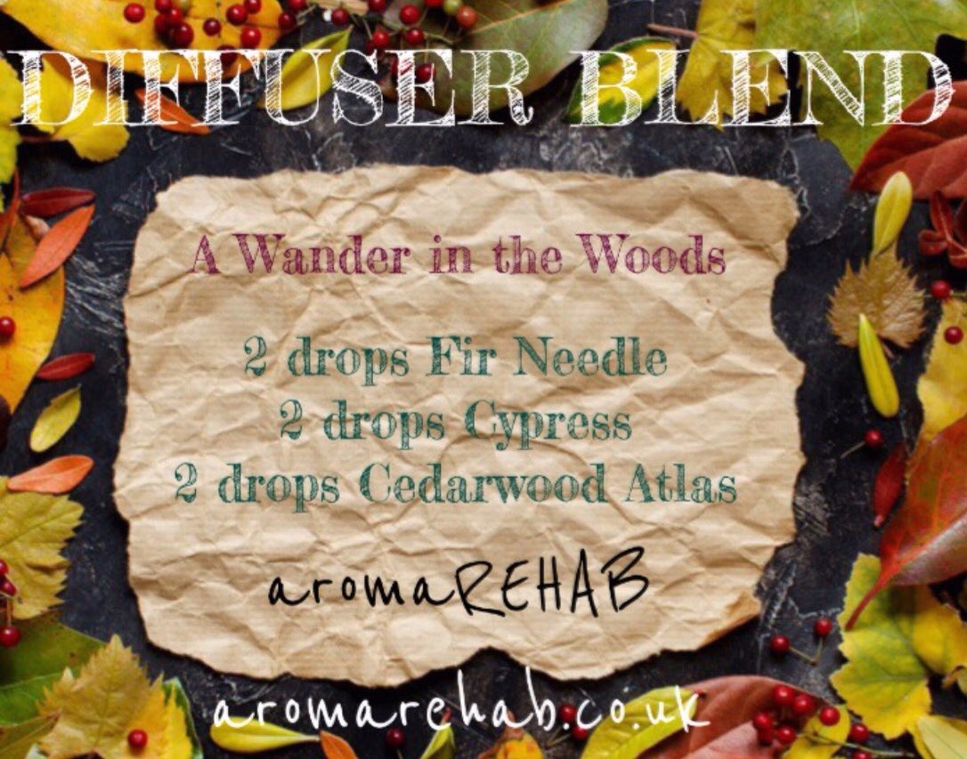 AromaRehab's tweet photo. #aromaoftheweek A very fresh &amp; woodsie blend, something a little bit different from the more spicy blends around this time of year! #aroma https://t.co/QpgjNGLiTb