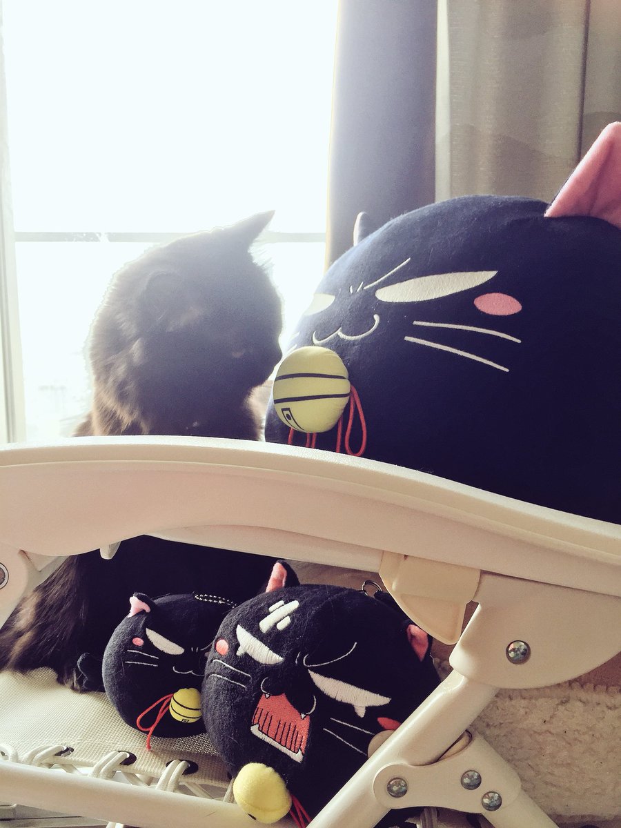 桜猫様確認ページ 桜猫様確認ページ FBページができました