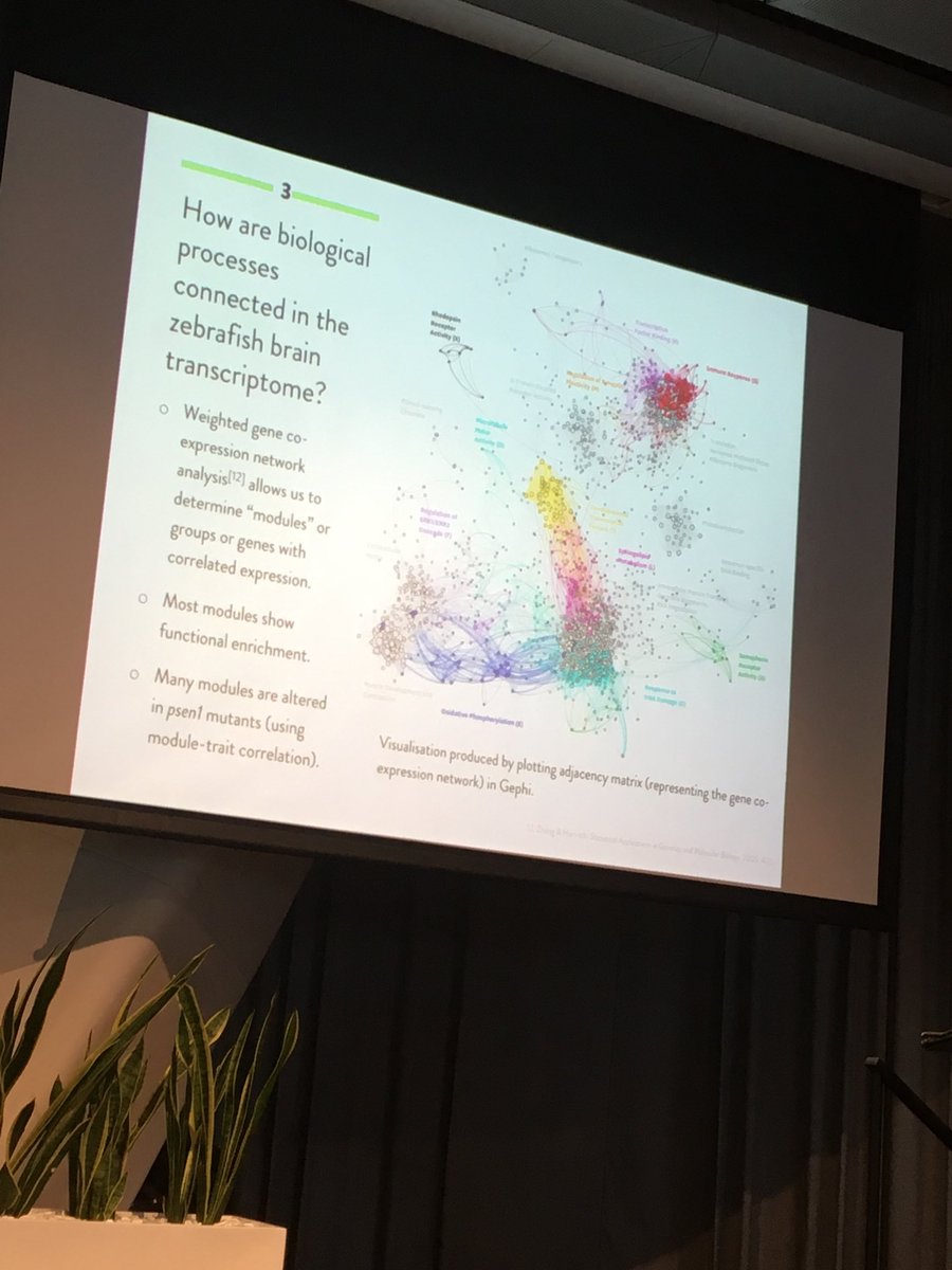 bluebirdi's tweet photo. Wish I could do such beautiful weighted gene co expression analysis 😭 #COMBINE17 https://t.co/QH0cadilR8