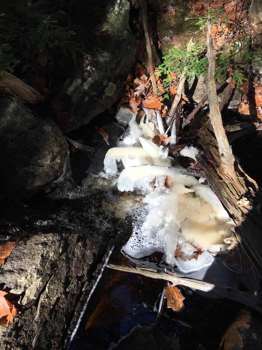 KmacEco's tweet photo. Small streams are starting to form ice on the surface, will surely affect the ecosystem. #AquaEco2017 https://t.co/dyhy2TG4Bz