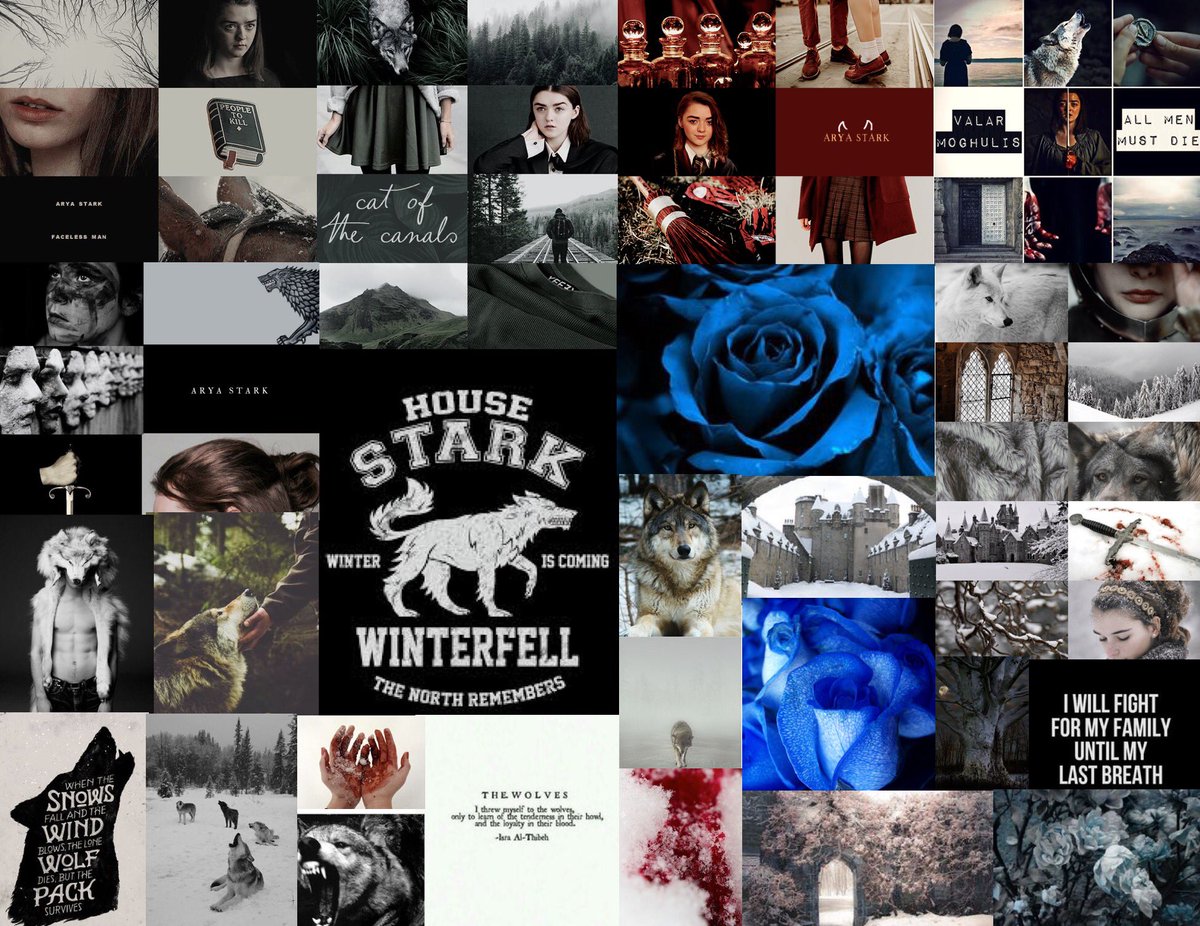 Arya Stark (@a_girl__no_one) on Twitter photo 