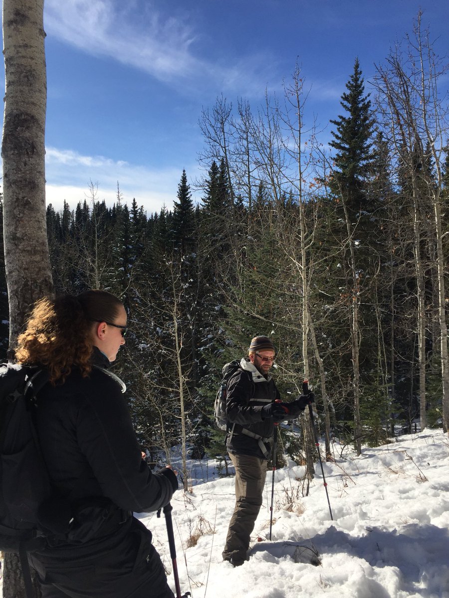 tracyohn's tweet photo. Enjoyed a winter #hike in #Kananaskis country today #FullertonLoop with @HikingSchool https://t.co/ijpqiPX9zV