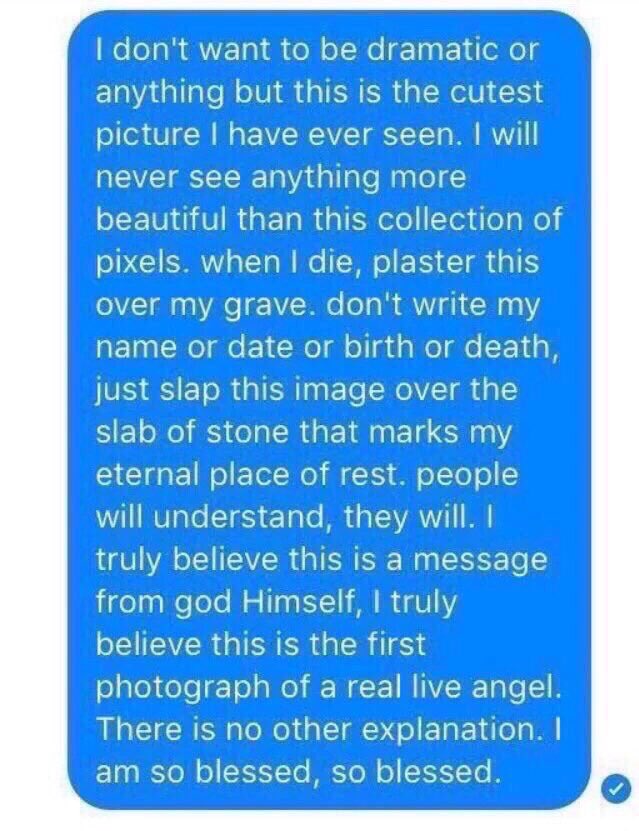 GoTeamSupercorp's tweet image. 