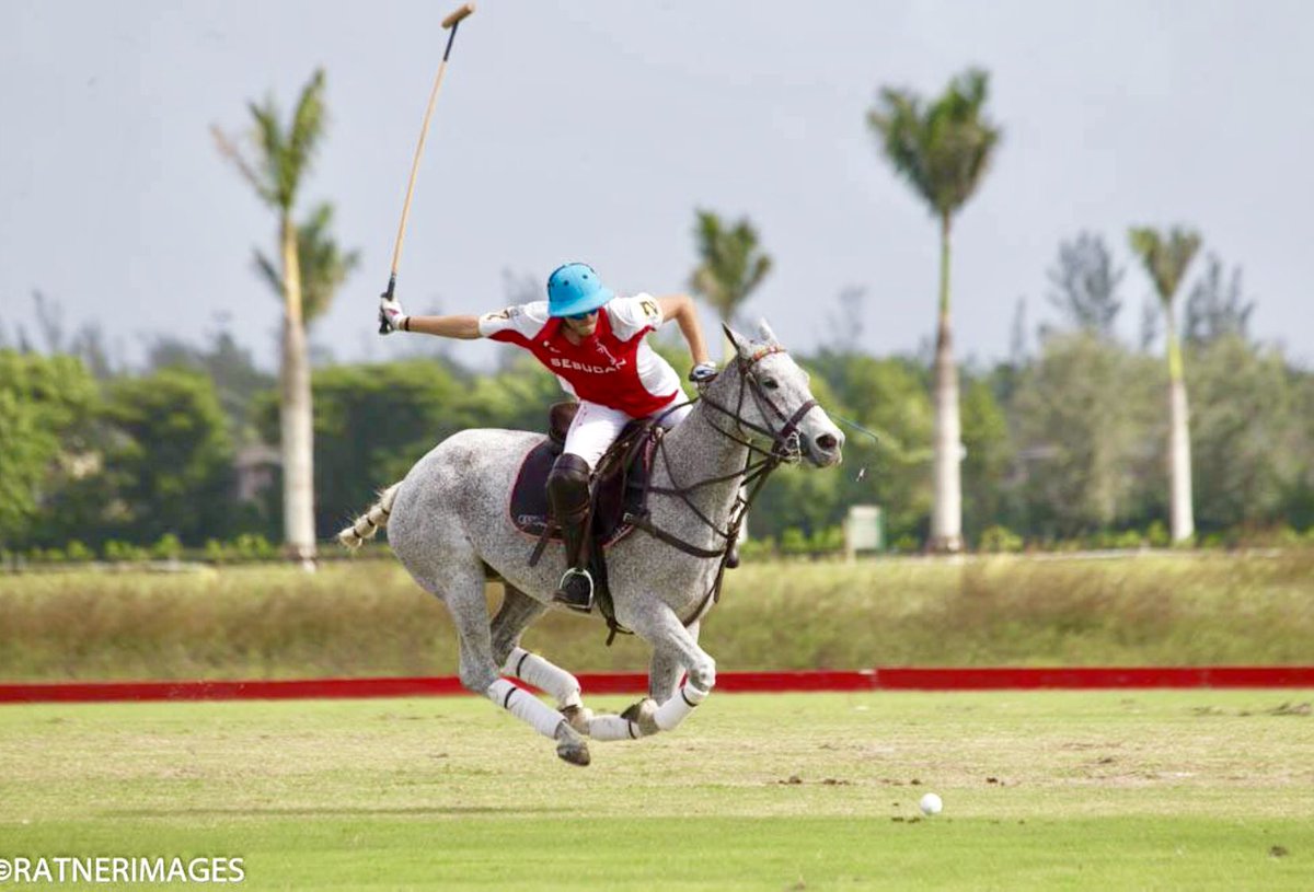 PLivemagazines's tweet photo. Santa Riva Polo Farm https://t.co/FwXWqqL7GE