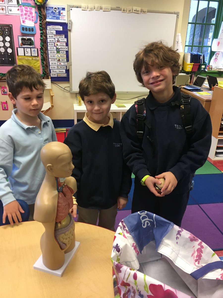 Don’t you just love it when your brother shows up to loan his model of the human body to your class? #trinitylearns #ilovemyschool