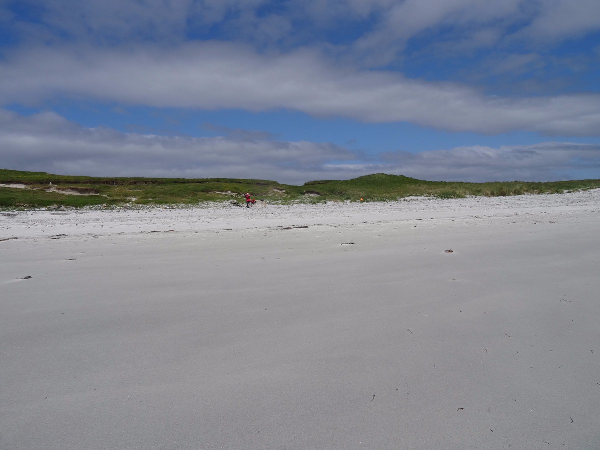 Hjalmar_Bjorge's tweet photo. The other Boreray... the idyllic island off #Berneray is always a treat for our guests &amp; slightly easier to land on when conditions allow than the more famous island off #StKilda! https://t.co/6pOAKGCRzk