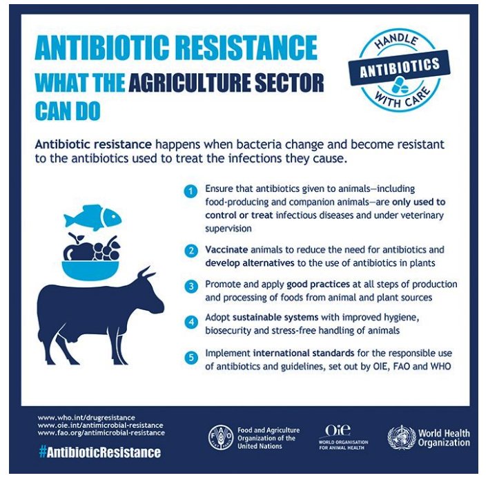 Ethivet's tweet photo. Various educational materials are available to raise awareness of antibacterial resistance and improve their use. https://t.co/tzPlrAwDUO