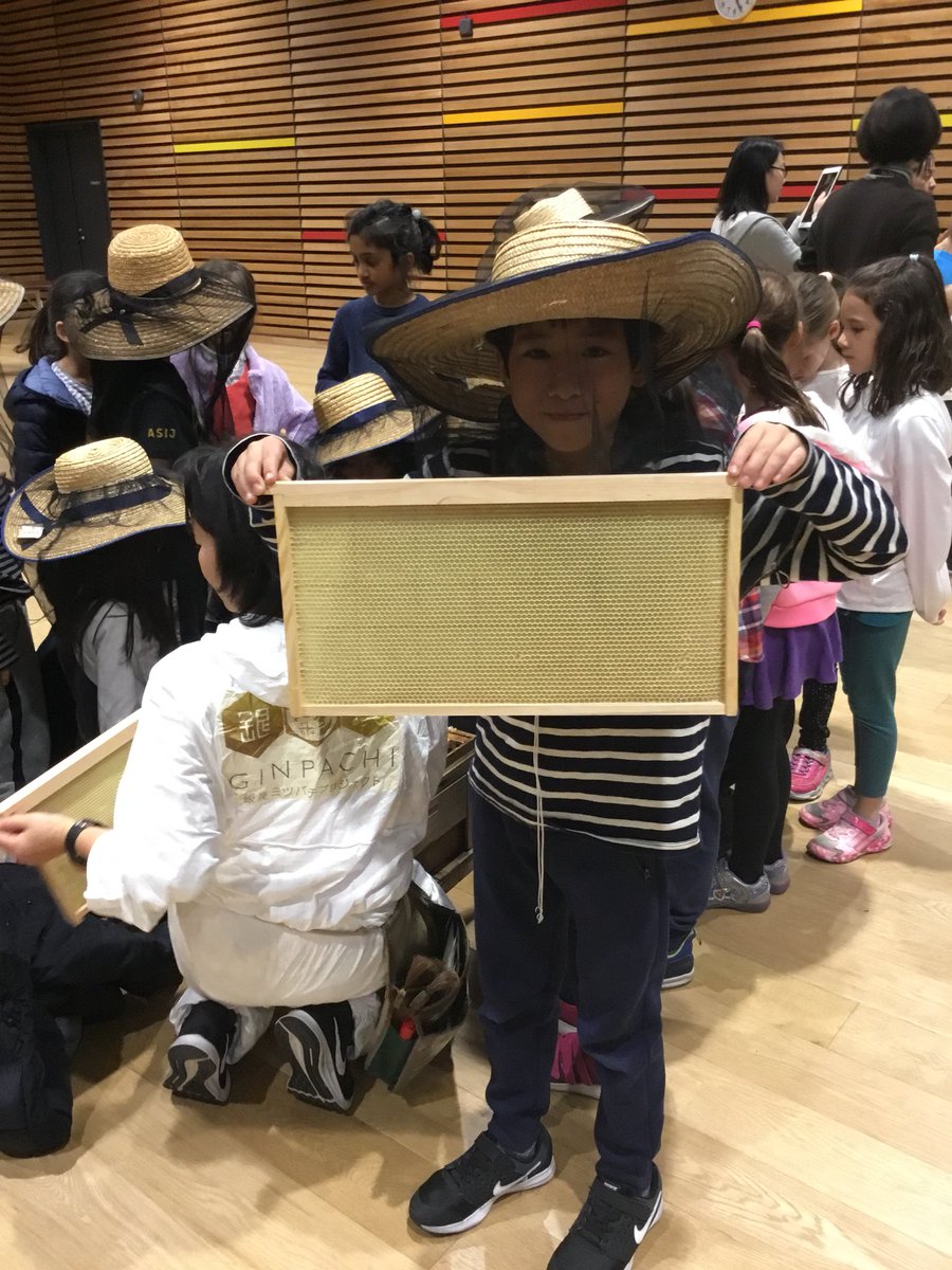 asij2Y's tweet photo. Learning about bees and pollination with the Ginza Mitsubachi Honey Bee Project! https://t.co/ULCpVxvGhE