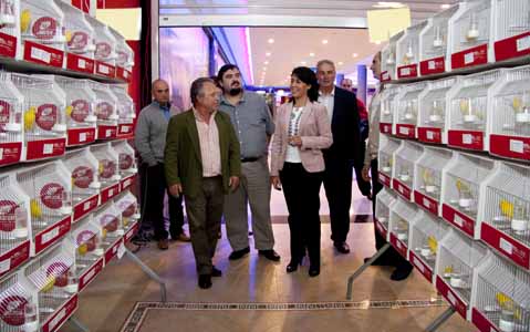 Visita la exposición de canaricultura en el Centro Cívico de Pardaleras Miercoles de 17 a 21 h. Jueves, Viernes y Sábado de 11, a 14 y de 17 a 21 horas