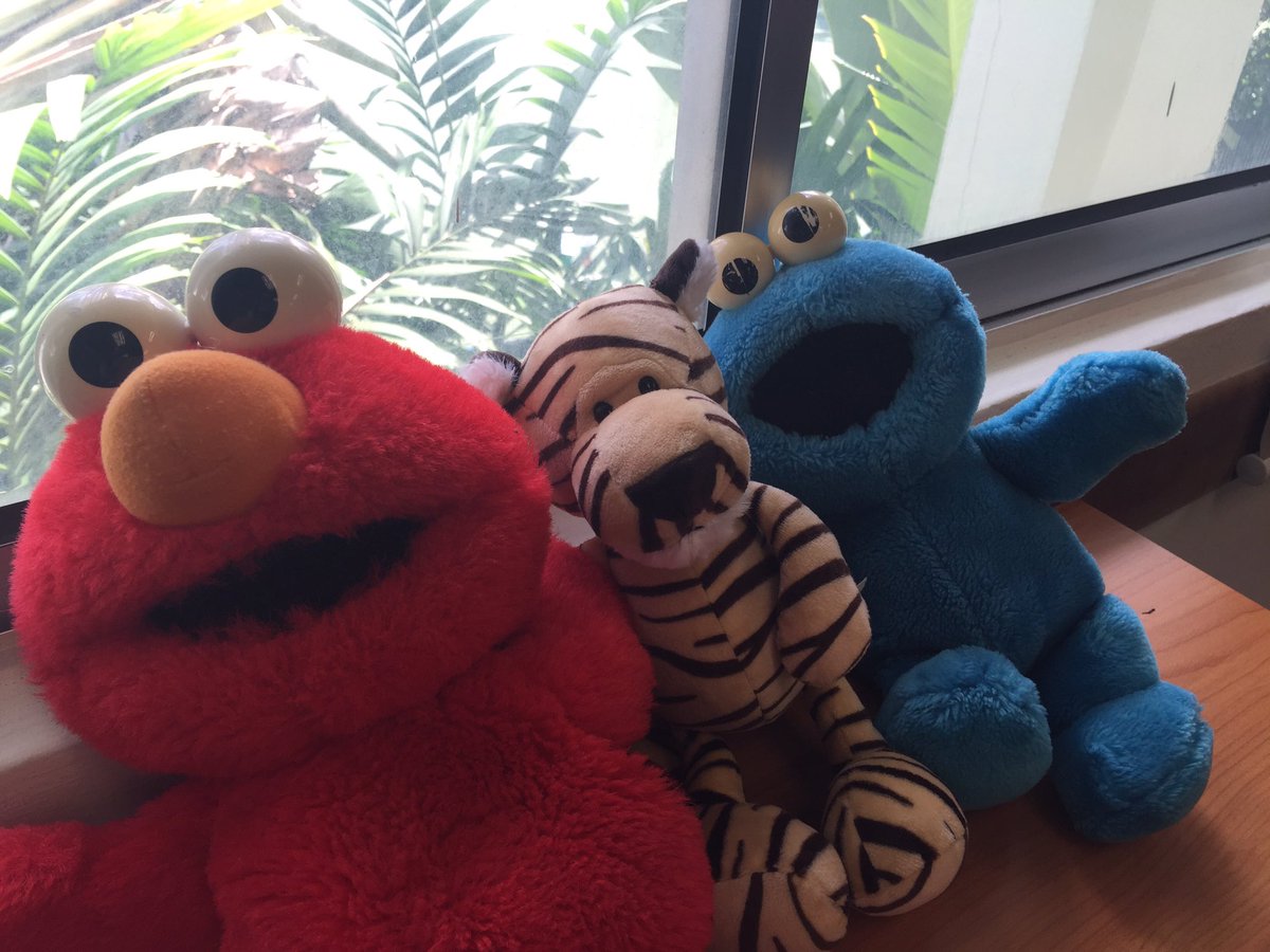Having a blast at the green vertical meeting!! #tigertime #tigerandfriends #gislearning #gisgreen