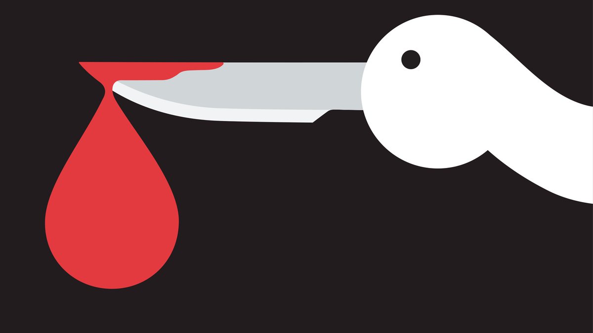 Daniella L tweet media