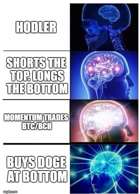 whatexchange's tweet photo. $Crypto #cryptocurrency #bitcoin #altcoins #bitcoincash $BTC $BCH #funny #trading #investing #nerdlife #cryptomemes https://t.co/iki8dVEgsr