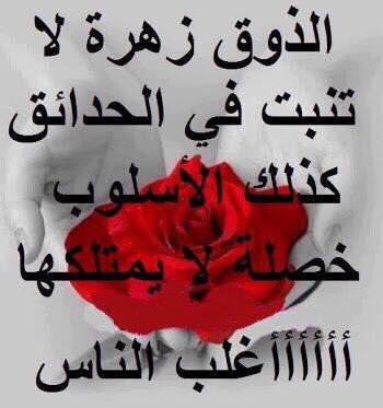 Amal_alghd's tweet photo. يا طيور الحب غردي للقلب الحزين
يمكن مع صدى صوتك يزيد
الوله والشوق  والحنين  💔😭🌧💚ويجي برد وغيم ومطر يروي ضمى القلب الوله الحزين https://t.co/Dvvw6oDRbF