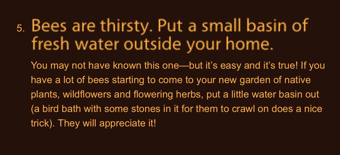savethebees7's tweet photo. Did you know this about bees? #SaveTheBees #TheMoreYouKnow https://t.co/eNZh9Ilcir
