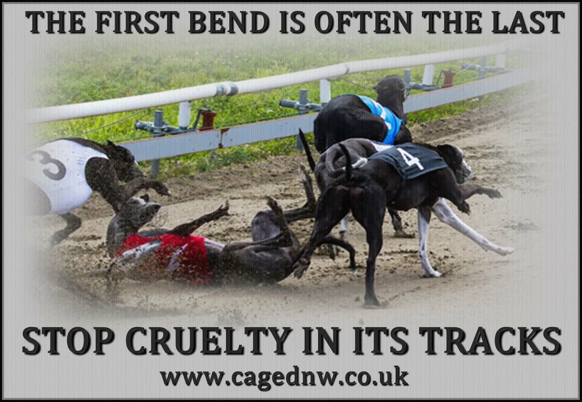 Daddynige01's tweet image. The first bend is often the last