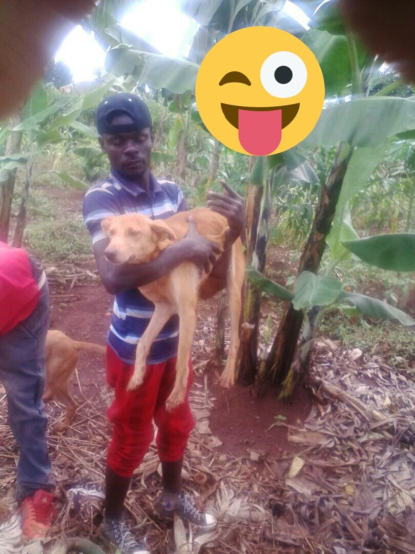 edmond_wizzy's tweet photo. https://t.co/JQgI9Dhw5v