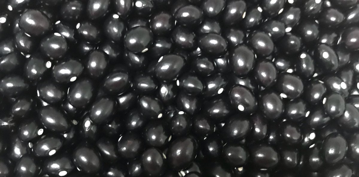 Babarrunaren Astean murgiltzera goaz #perlabeltza protagonista izango den honetan #ekoizleaksarean #tolosaldea #tolosakobabarruna