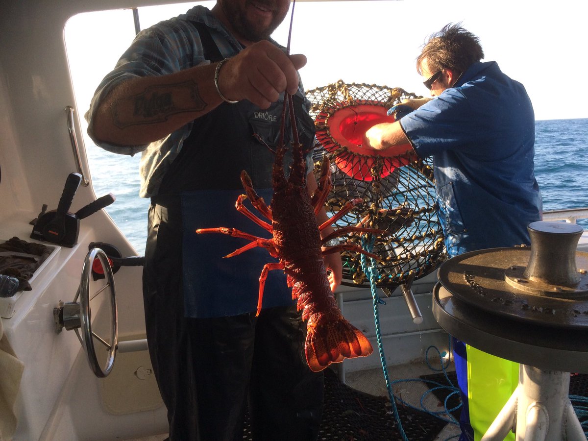 jabews's tweet photo. #roadtrip #portmacdonnell #SouthAustralia #crayfishing #mamasandpapas #catchup @abews27 https://t.co/j8IbgkAGG9