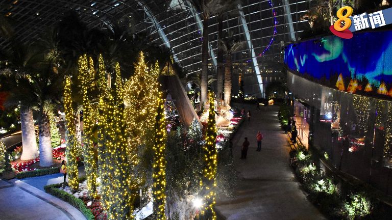 GardensbytheBay's tweet photo. Nordic-style Flower Display brings the Northern Lights to Gardens by the Bay https://t.co/D8JHwAMbre @ch8newsSG #gardensbythebay https://t.co/GZ2d3Uh6rE