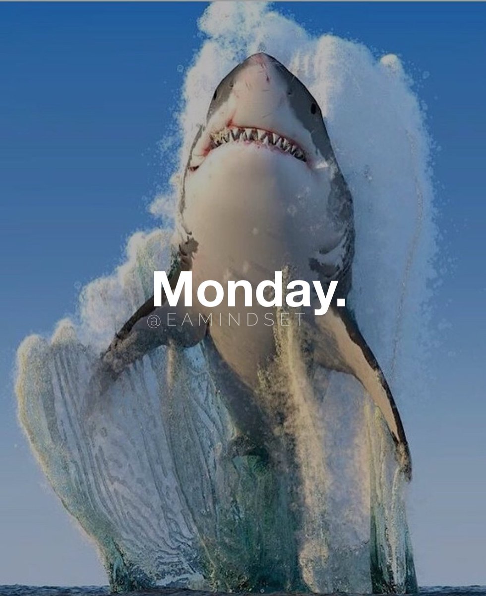 Rich Morris tweet media