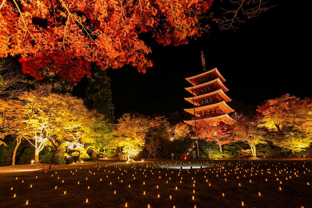 京見坂 V Twitter 天橋立 紅葉ライトアップ 写真撮ってる人と繋がりたい 写真好きな人と繋がりたい ファインダー越しの私の世界 写真の奏でる私の世界 京都 天橋立 傘松公園 紅葉 ライトアップ 成相寺 京見坂 V Twitter 天橋立 紅葉ライトアップ 写真撮ってる人と繋がりたい 写真好きな人と繋がりたい ファインダー越しの私の世界 写真の奏でる私の世界 京都 天橋立 傘松公園 紅葉 ライトアップ 成相寺