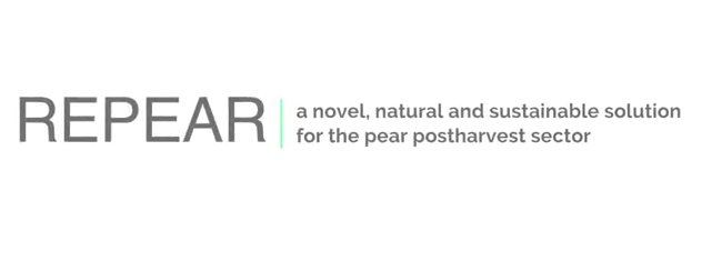 FruitvegEUROPE's tweet photo. #REPEAR: "a novel and natural solution for the postharvest #pear sector"🍐🍐. https://t.co/n7yjrELM87.
@PerasDeRincon @EUCOFEL_EU; @irtacat #inspiralia #SotodeEbro, #MaltaUniversity
https://t.co/8Lwv1sEPPo https://t.co/6OmF1TqrXZ