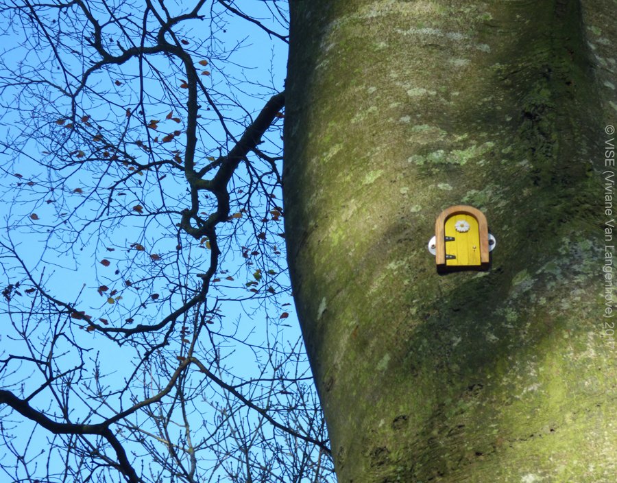 topVISE's tweet photo. Favourite walk at #Ardgillancastle admiring the superb #trees and looking for the #fairydoors #Ireland #treelovers #gardenwalks #treesmagic #treesbeauty #naturelovers https://t.co/EaeKwZrP1C