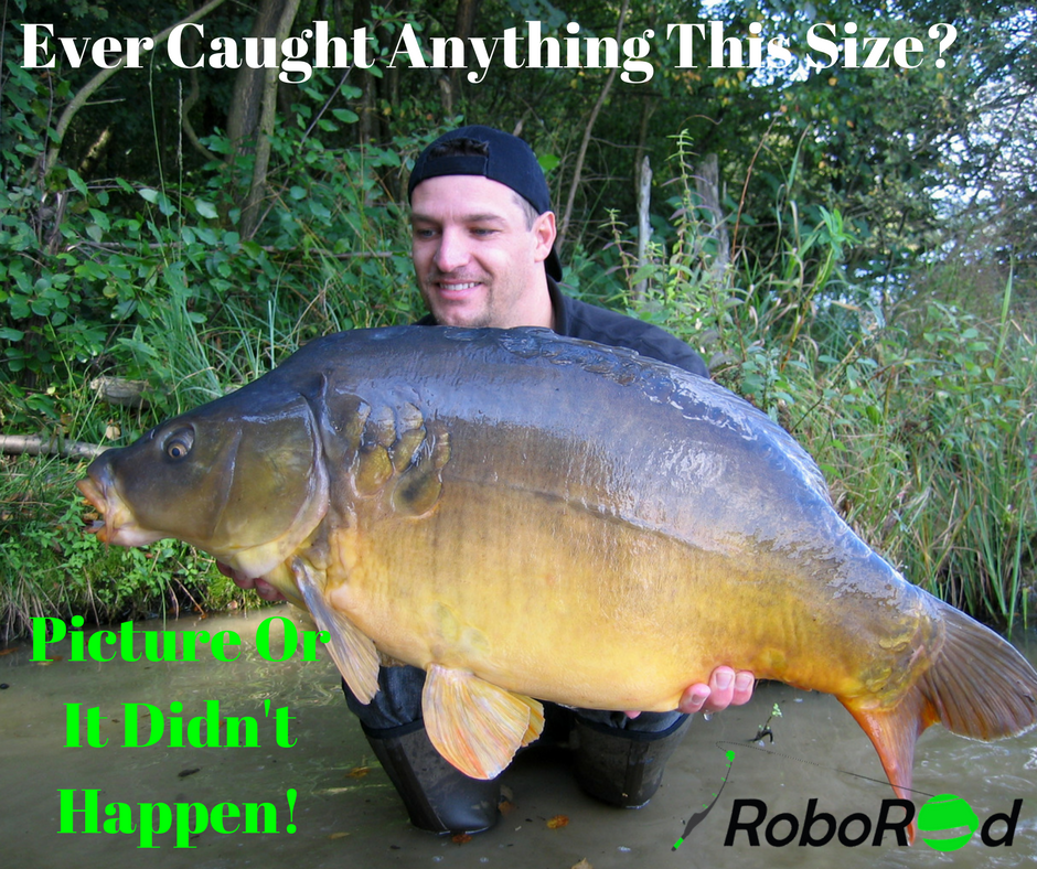 Roborod23's tweet photo. What do you say folks? Have you? Send us proof in the comment section :D

#Mondaymotivation #fishing #Roborod https://t.co/amVjNkLfrP