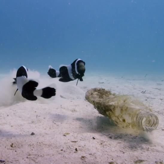 We're loving Blue Planet 2! Especially the clown fish, although heartbreaking to see these guys considering a plastic bottle as a home for their young. Have you got your own reusable bottle yet? #plasticfreecoastlines #messageinabottle #reuseforvictory