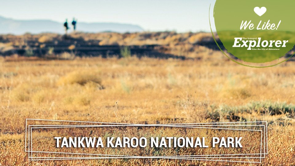 intrepidexpl_za's tweet photo. The #TankwaKarooNationalPark has nothing but animals, birds and landscapes as far as the eye can see >> https://t.co/fn8TQkxvp5 https://t.co/3dAiD8lcL1