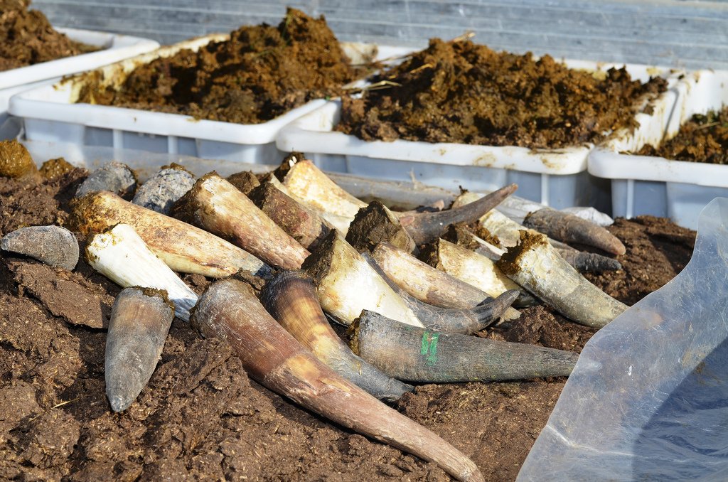 Is #biodynamic winemaking a load of horse manure? In a literal sense yes, but it also deserves our respect and is making quality wines says <a href="/bibendumwine/">Bibendum</a> Gergely Barsi Szabo <a href="/gergelywine/">gergely barsi szabo</a> the-buyer.net/opinion/biodyn… …