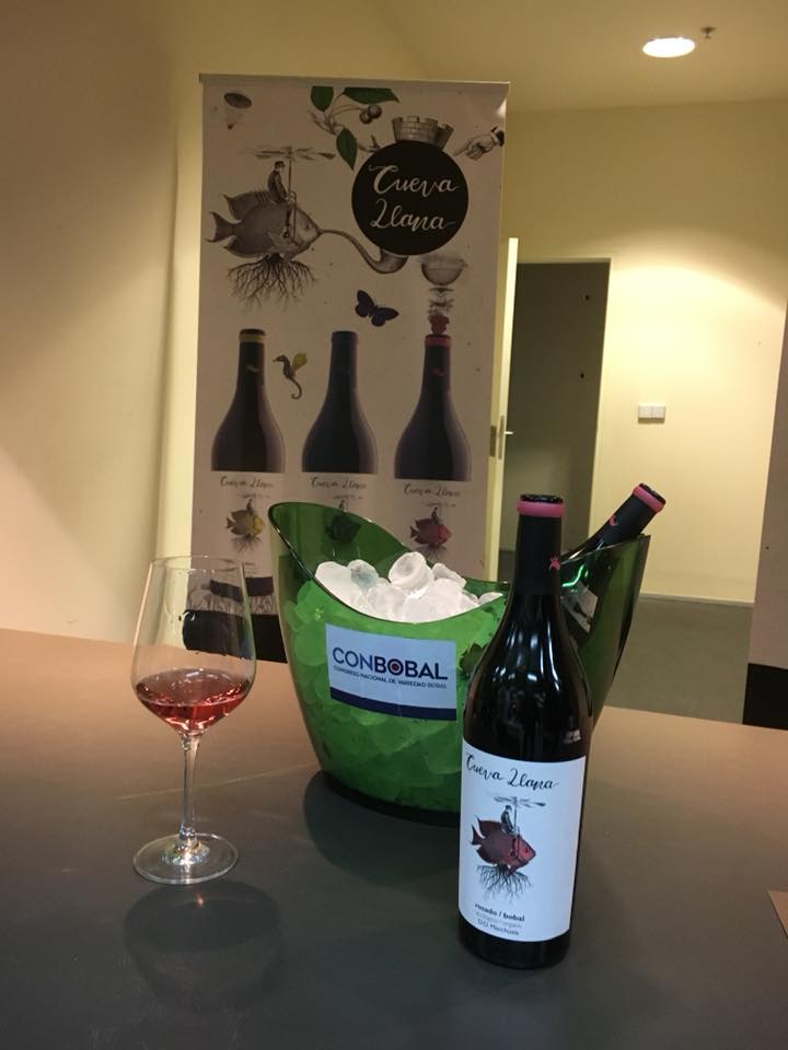 senoriodeljucar's tweet photo. Algunas imágenes de nuestro paso el viernes pasado por #Conbobal, Primer Congreso Nacional sobre uva Bobal, organizado por @DOManchuela.
Con esta uva elaboramos nuestro Cueva Llana #Eco rosado. ¡Un gran evento! https://t.co/E5WB2I8Nbw