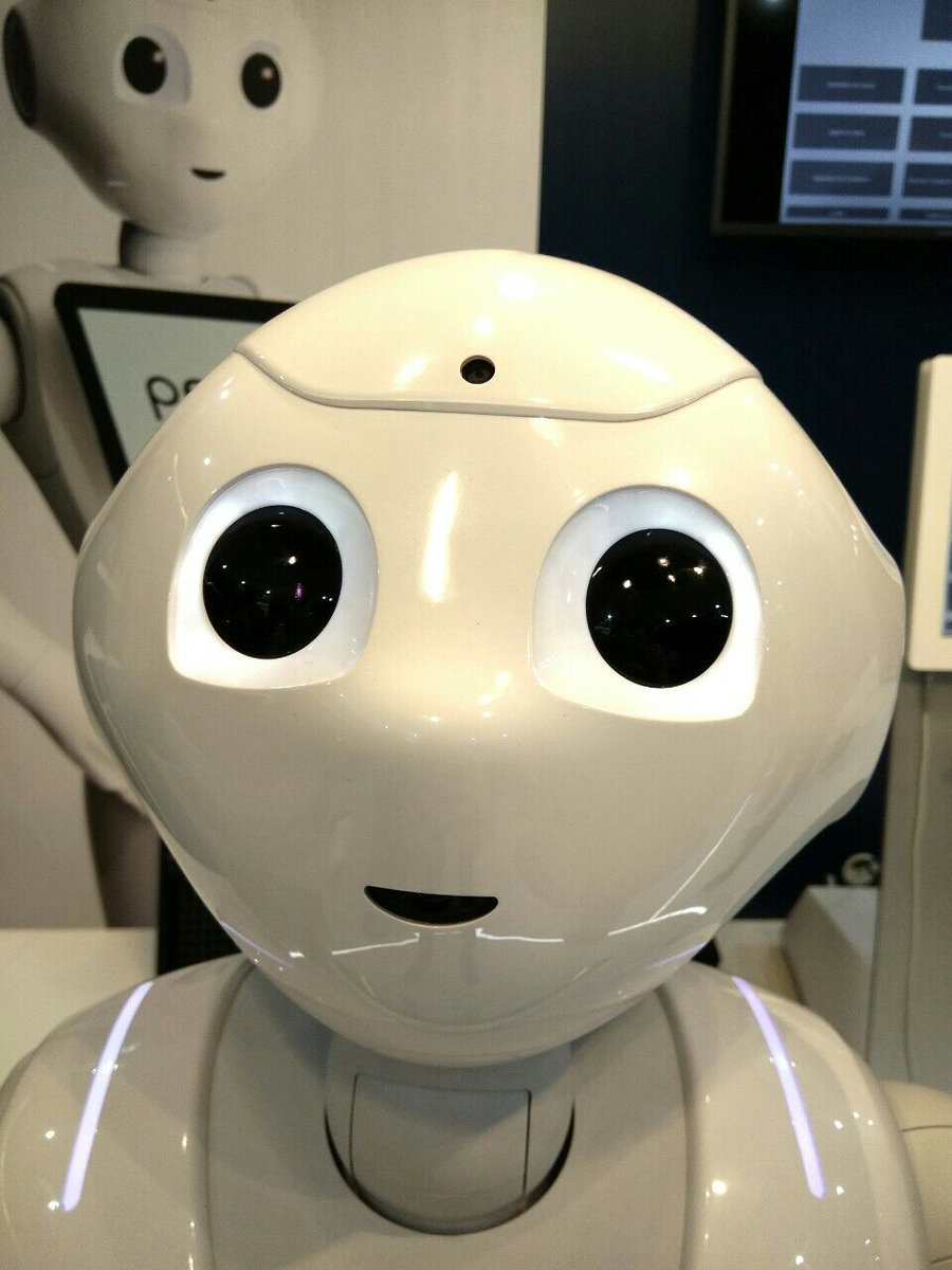 CetC_Ortho's tweet photo. Venez tomber sous le charme de la bouille d' #amour de #Pepper 😍 ! Il sera encore à votre service toute cette journée 🤖 !
#RDV #JO2017 Stand N08 https://t.co/GhHdNxvtan