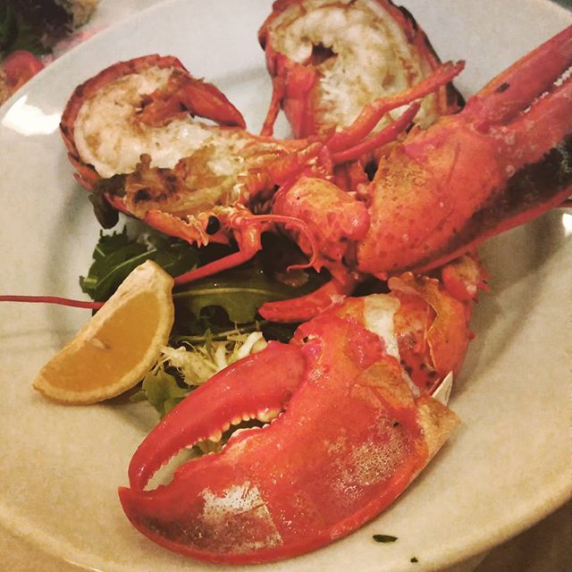 Fish Central tweet media