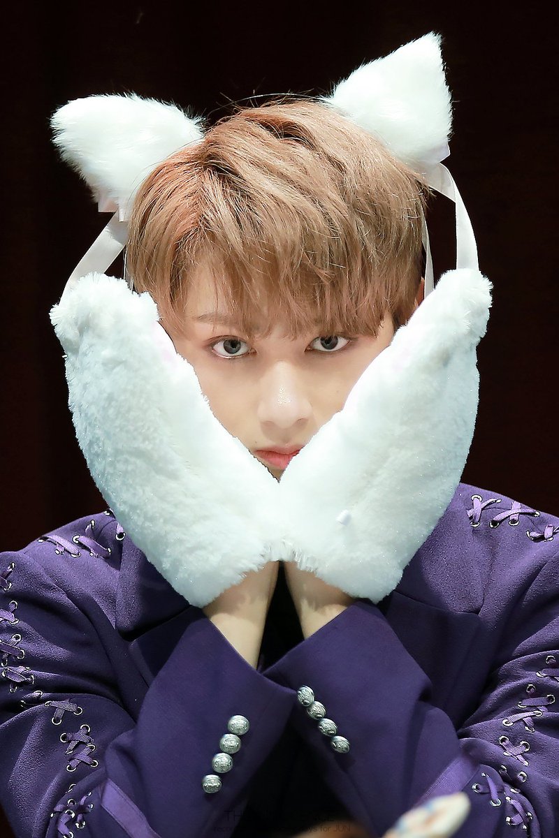 theinnocence_J's tweet photo. 냥이다!!!!!!!!😭😭😭😼 #JUN #文俊辉 @pledis_17 https://t.co/qEGfxyWPEA