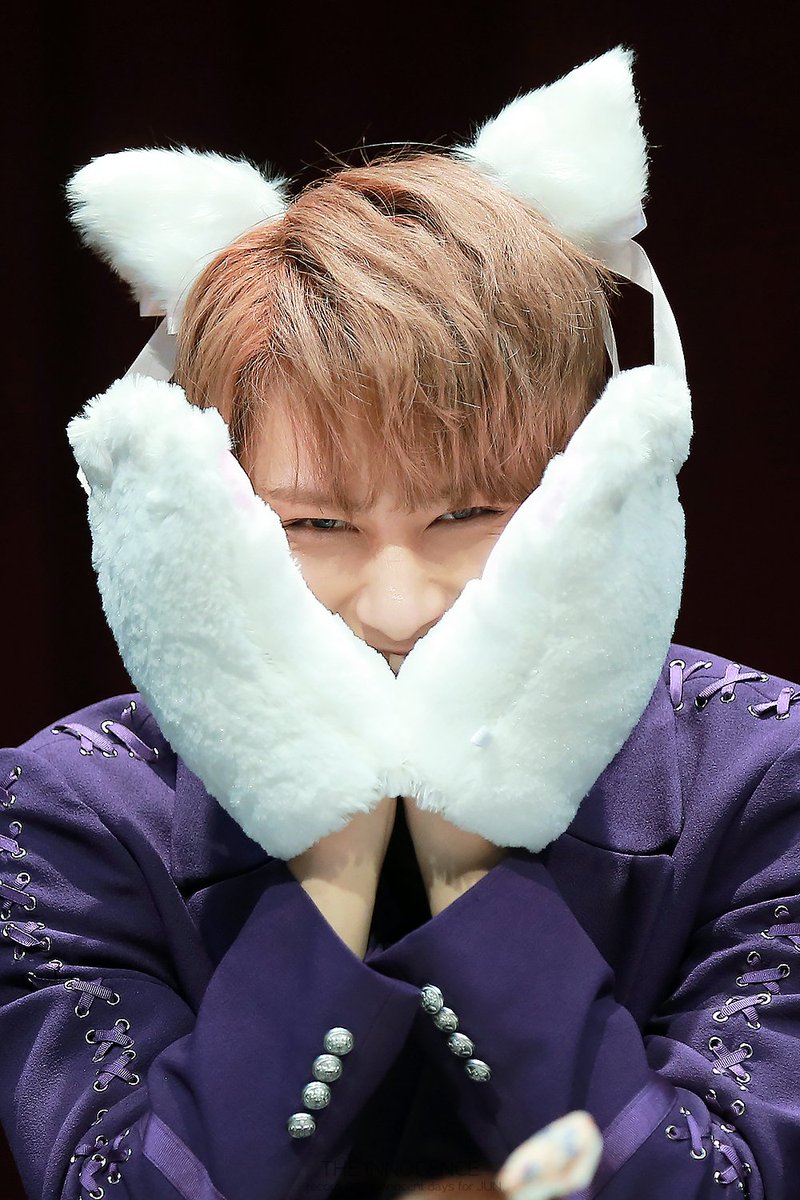 theinnocence_J's tweet photo. 냥이다!!!!!!!!😭😭😭😼 #JUN #文俊辉 @pledis_17 https://t.co/qEGfxyWPEA