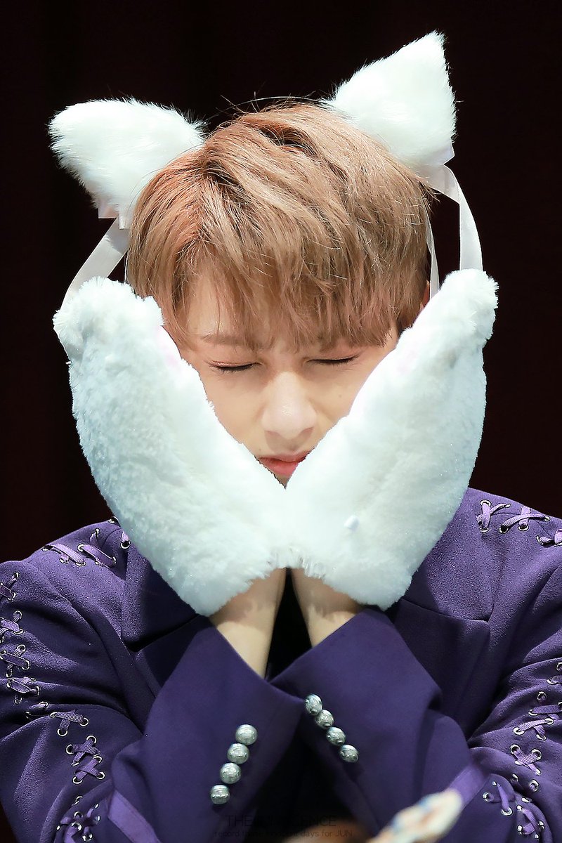 theinnocence_J's tweet photo. 냥이다!!!!!!!!😭😭😭😼 #JUN #文俊辉 @pledis_17 https://t.co/qEGfxyWPEA
