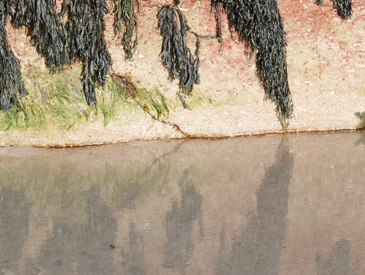 Playing the t'ai chi - exploring how when we fully expand, truly give without expectation or holding back, we naturally find the corresponding softness in receiving, and the sense of close connection with each other. #TaiChi #Cornwall