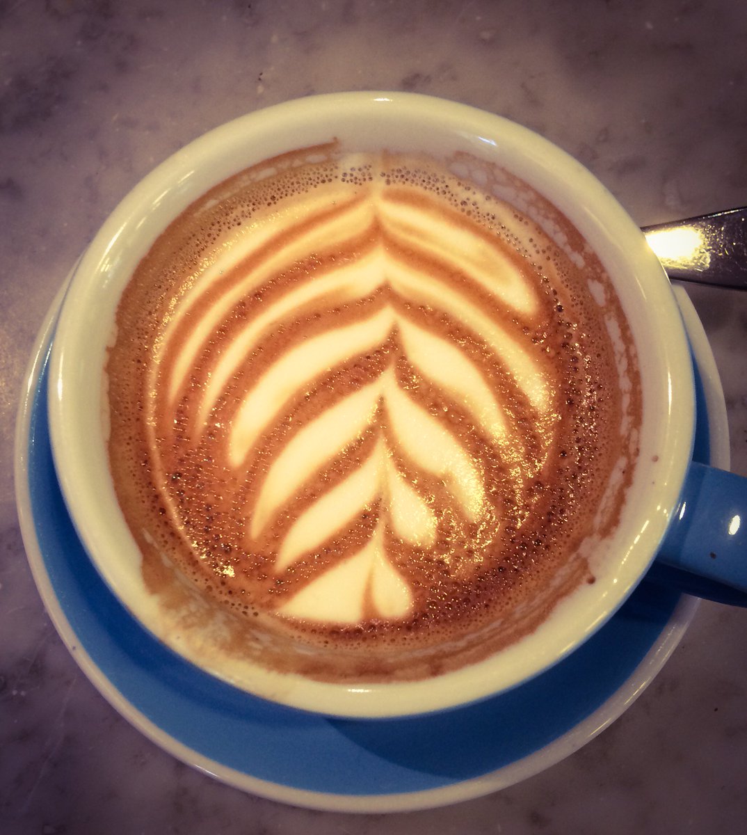 Yakety Yak (@yaketyyakcafe) on Twitter photo <a href="/noir_coffee_edi/">Noir Coffee House</a> staff excellent. I wasnt sure if their perfect temperature coffee would be too cold for me.
They brought me hot milk on the side just in case. #italian #coffee #greatservice #learnitalianhere <a href="/noir_coffee_edi/">Noir Coffee House</a> staff excellent. I wasnt sure if their perfect temperature coffee would be too cold for me.
They brought me hot milk on the side just in case. #italian #coffee #greatservice #learnitalianhere