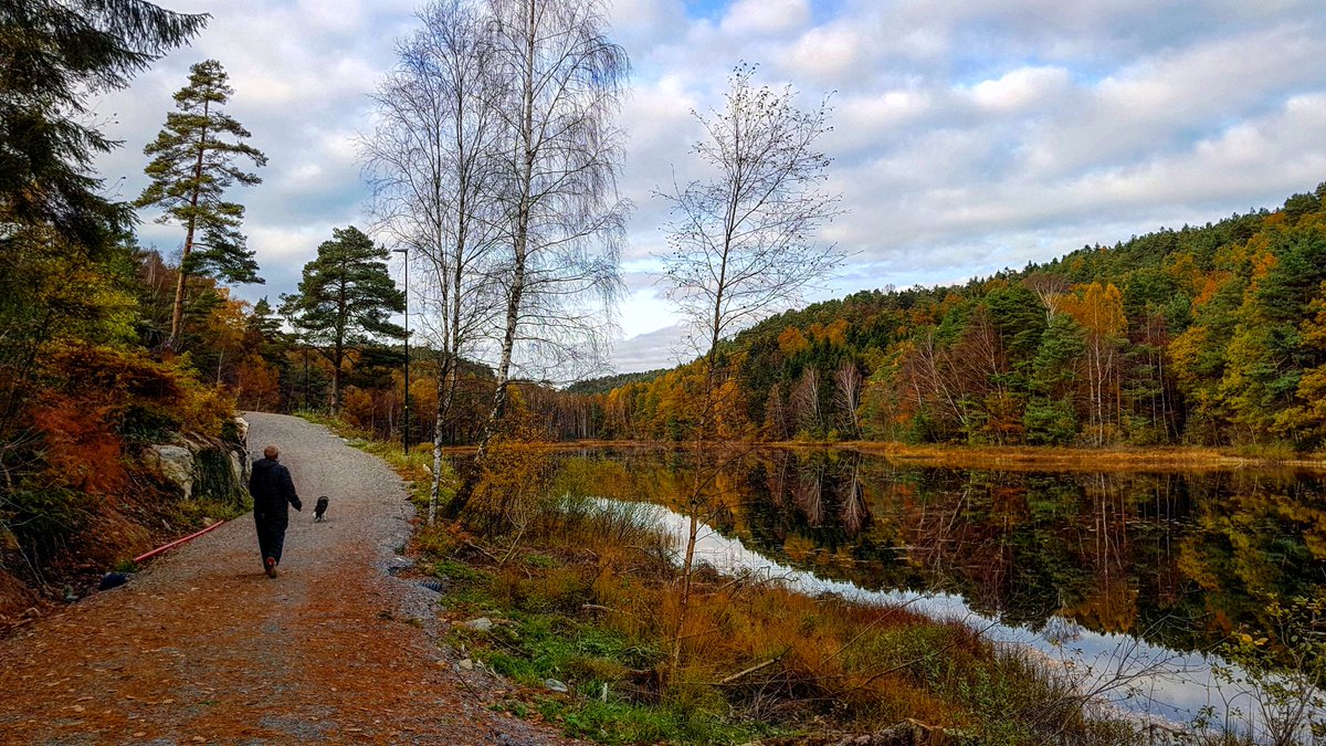 RT @EnerothMette: #lillesand #norway #autumn @SouthernNorway @visitsorlandet