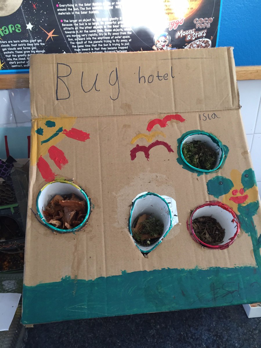 StPatricksNS's tweet photo. 1st Class have had super fun making gorgeous Bug Hotels! https://t.co/c5KBbBLSFs