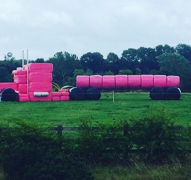 cuttoclamp's tweet photo. Check out this #PinkBale display! So here it is again! Have you seen any funky or unusual bales on your travels? https://t.co/OeM5oQG5dV