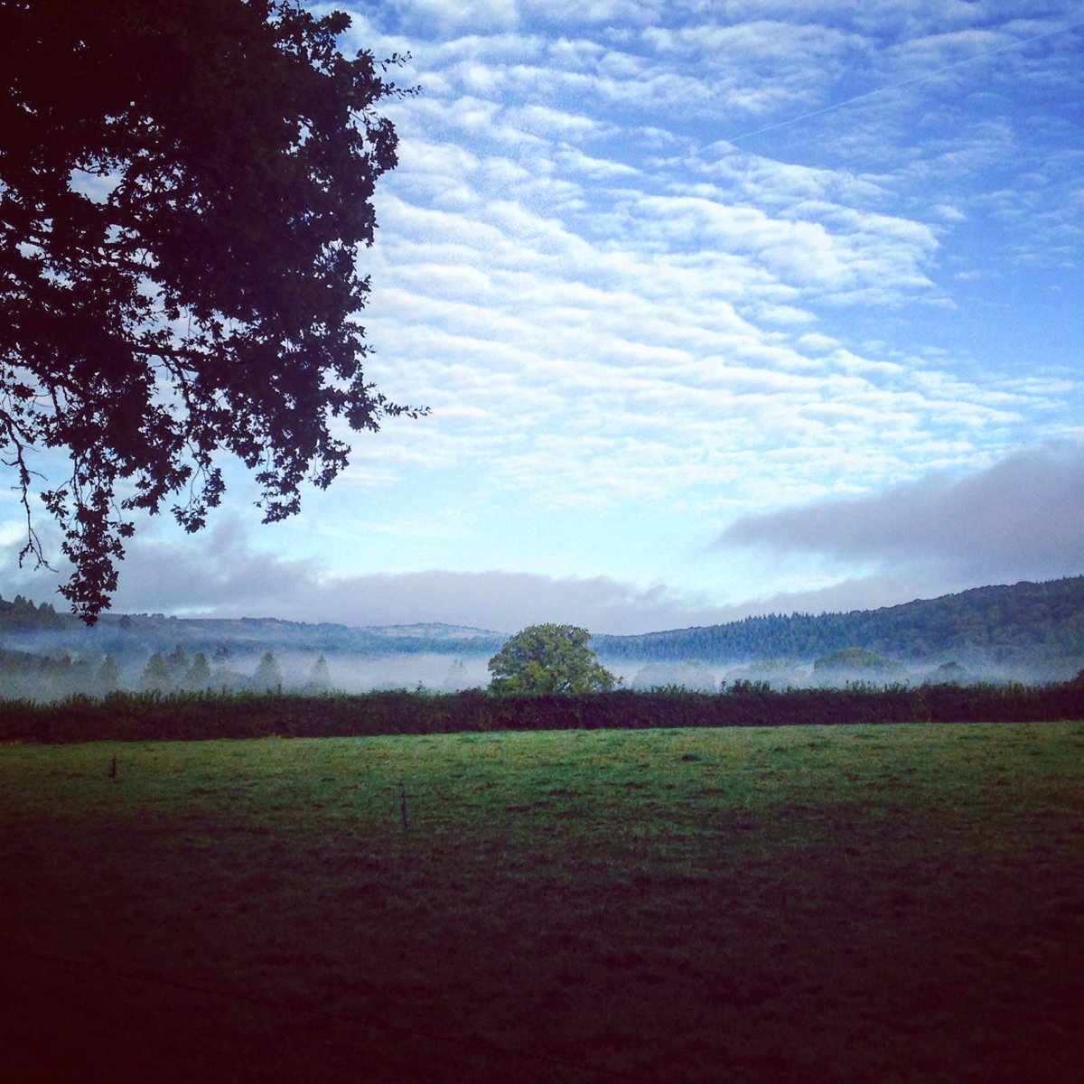 RiverDartCP's tweet photo. Happy Monday! How about this view from our grounds to start your week? 🌤️🌲❄️ #brightandchilly #lovedartmoor #mondaymotivation #naturephotography #greatoutdoors #visitdevon #riverdartcountrypark https://t.co/dzkRG44Qri