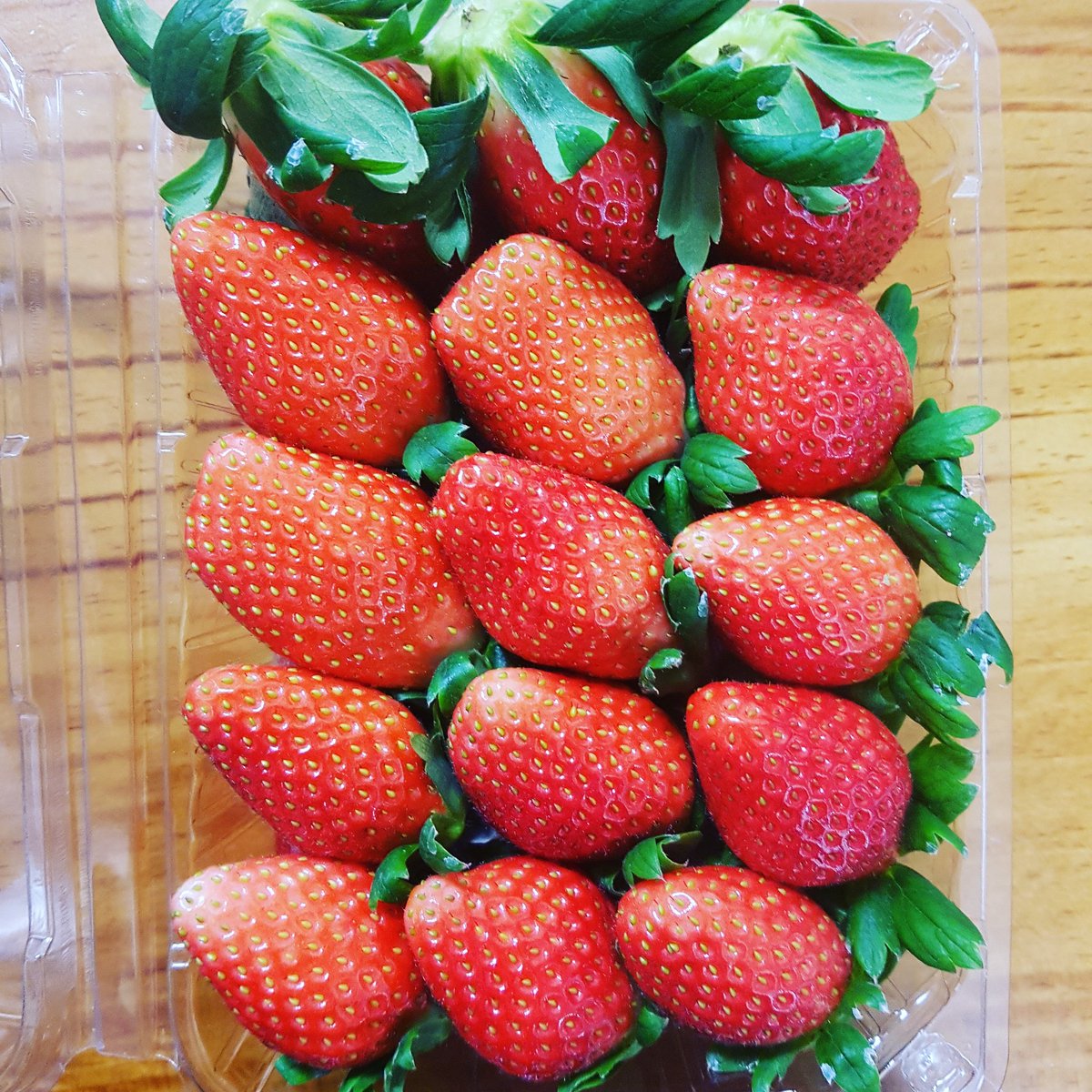 정태웅 (@twjeong3) on Twitter photo 