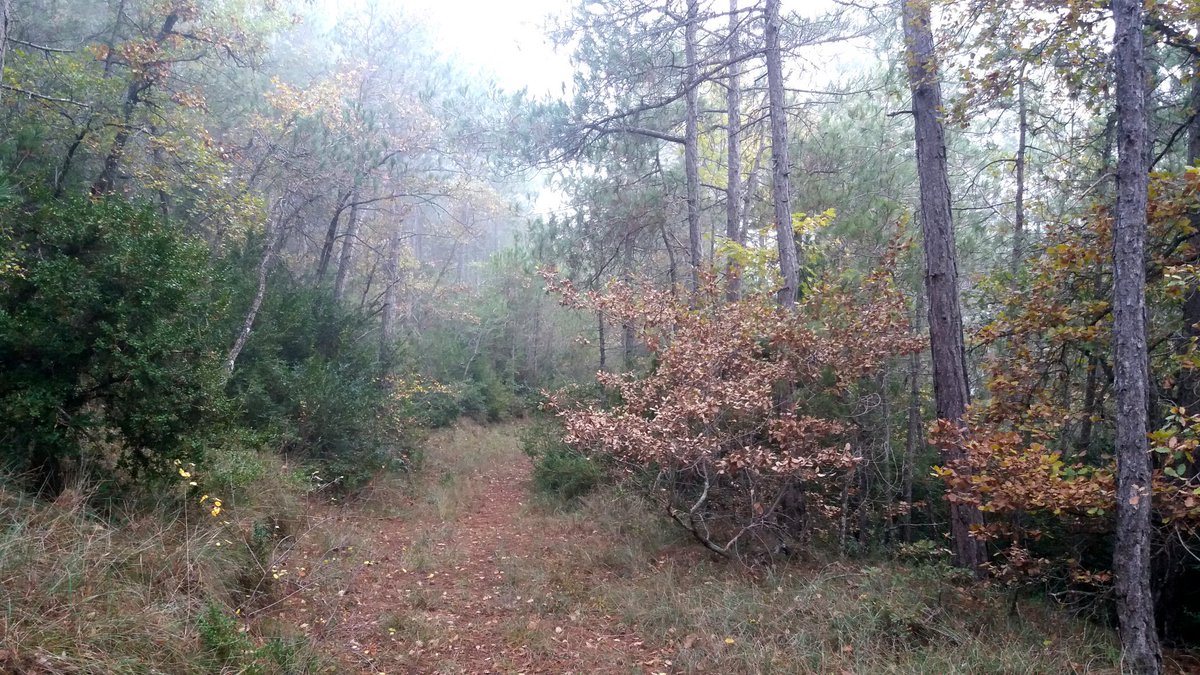 JmSantesm tweet media